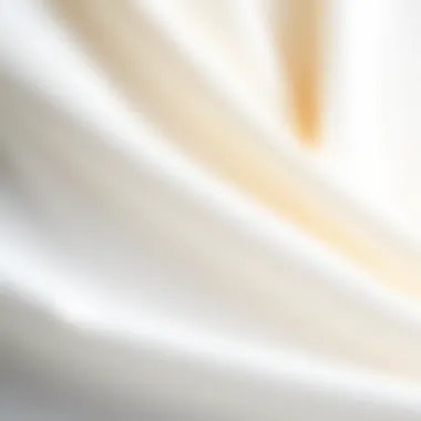 Close-up of Luxurious Fabric for Winter Dress