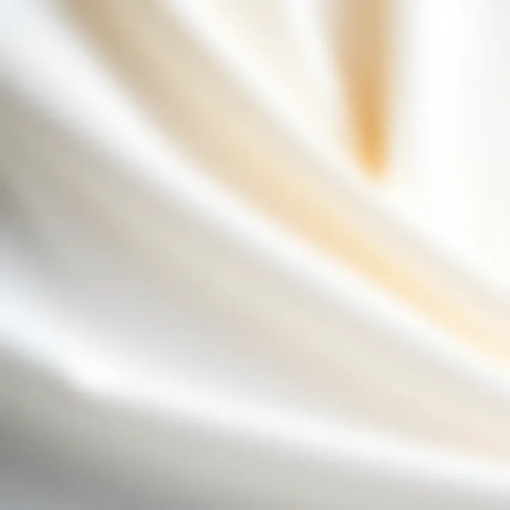 Close-up of Luxurious Fabric for Winter Dress