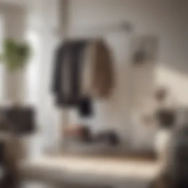 Elegant two row clothes rack in a modern living space